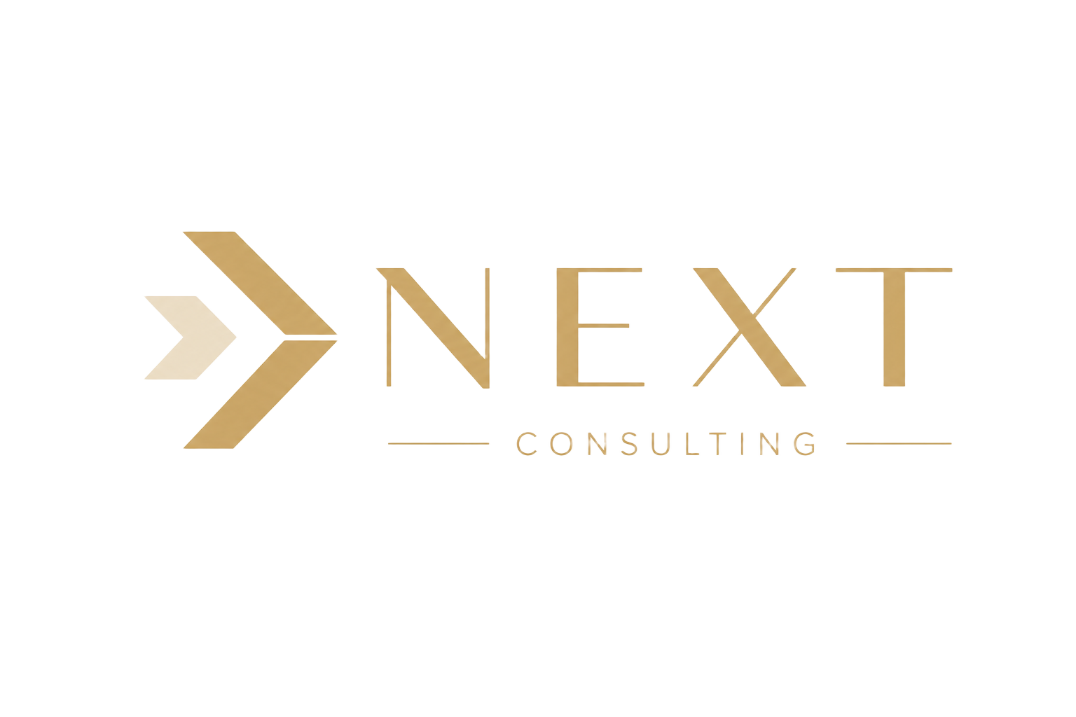Next Consulting GmbH
